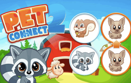 Pet Connect 2