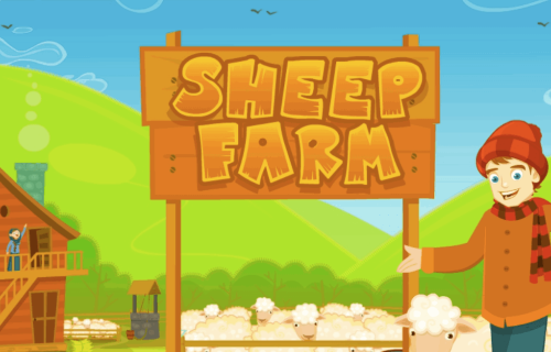 Sheep Farm