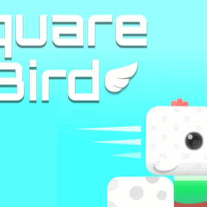 Square Bird