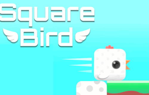 Square Bird