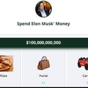 Spend Elon Musk's Money